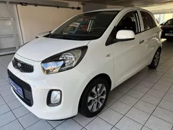 Schneeweiß Gebraucht 2016 Kia Picanto Kleinwagen | 8.399 € (Fairer Preis)