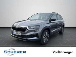 Grau Gebraucht 2025 Skoda Karoq Tour SUV | 36.980 € (Etwas zu teuer)