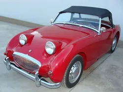 Rot Gebraucht 1959 Austin Healey Frogeye Cabrio | 26.000 €