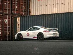 Weiß Gebraucht 2016 Porsche Cayman GT4 Coupé | 94.981 € (Etwas zu teuer)