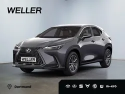 Grau Neu 2024 Lexus NX350h Executive Line SUV | 58.975 € (Fairer Preis)