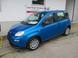 Blau Neu 2024 Fiat Panda Kleinwagen | 14.890 €