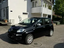 Schwarz Gebraucht 2020 Fiat Panda Urban Kleinwagen | 9.990 € (Fairer Preis)