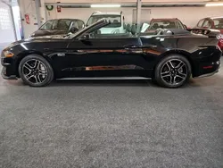Schwarz Gebraucht 2019 Ford Mustang GT Cabrio | 34.980 € (Superpreis)