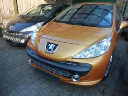 Orange Gebraucht 2006 Peugeot 207 Sport Kleinwagen | 1.789 € (Guter Preis)