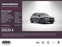 Grau Neu 2025 Skoda Fabia Tour Kleinwagen | 25.999 € (Etwas zu teuer)