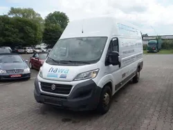 Weiß Gebraucht 2018 Fiat Ducato Van | 8.500 € (Superpreis)