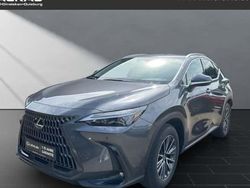 Grau Neu 2025 Lexus NX350h SUV | 52.950 € (Fairer Preis)