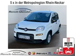Weiss) (weiss Neu 2024 Fiat Panda Kleinwagen | 14.989 € (Fairer Preis)