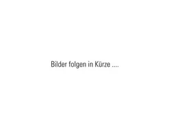 Gelb Neu 2024 Lotus Emeya Kleinwagen | 132.918 €