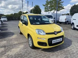 Gelb Neu 2025 Fiat Panda Kleinwagen | 14.589 € (Fairer Preis)