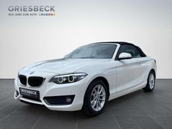 Weiß Gebraucht 2021 BMW 218 Advantage Cabrio | 23.880 € (Fairer Preis)