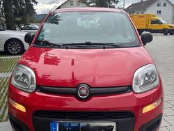 Rot Gebraucht 2019 Fiat Panda Kleinwagen | 8.500 € (Fairer Preis)