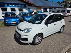 Weiß Gebraucht 2013 Fiat Panda Kleinwagen | 5.199 € (Teuer)