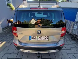 Beige Gebraucht 2015 Skoda Yeti Ambition SUV | 18.500 € (Teuer)