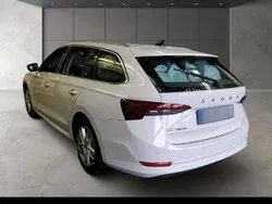 Weiß Gebraucht 2021 Skoda Octavia First Edition Kombi | 17.950 € (Guter Preis)