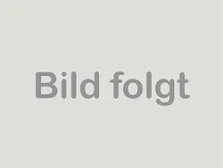Grün Neu 2025 Fiat Doblò Van / Kleinbus | 30.990 € (Etwas zu teuer)
