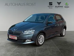 Grau Gebraucht 2020 Skoda Fabia Ambition Limousine | 16.490 € (Etwas zu teuer)