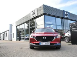 Rot Gebraucht 2024 Mazda CX-30 Homura-Line SUV | 33.999 € (Teuer)