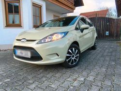 Grau Gebraucht 2009 Ford Fiesta Trend Kleinwagen | 4.890 € (Fairer Preis)