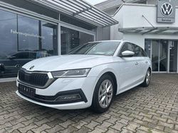 Weiß Gebraucht 2020 Skoda Octavia First Edition Kombi | 16.940 € (Fairer Preis)