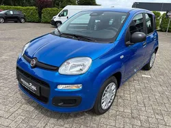 Blau Neu 2025 Fiat Panda Kleinwagen | 15.990 € (Fairer Preis)