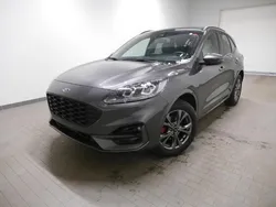 Magneticgrau Gebraucht 2024 Ford Kuga ST-Line X SUV | 28.800 € (Fairer Preis)