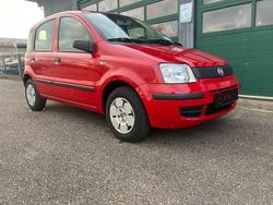Rot Gebraucht 2009 Fiat Panda Active Limousine | 3.990 € (Etwas zu teuer)