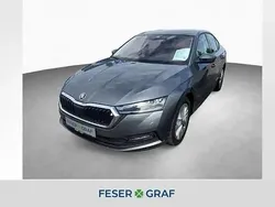 Graphitegrau metallic Gebraucht 2022 Skoda Octavia Limousine | 24.760 € (Fairer Preis)