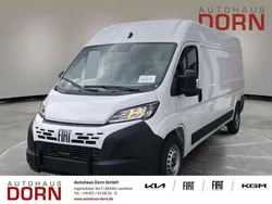 Weiß Neu 2025 Fiat Ducato Van | 37.990 € (Superpreis)