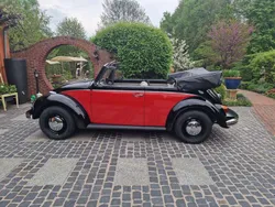 Gebraucht 1969 VW Käfer Cabrio | 19.900 €