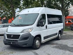 Weiß Gebraucht 2017 Fiat Ducato Van | 10.750 € (Fairer Preis)