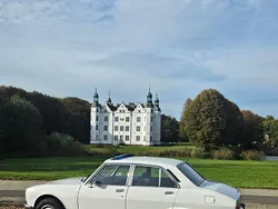 Weiß Gebraucht 1977 Peugeot 504 Limousine | 9.600 €