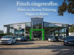 Grau Gebraucht 2025 Skoda Enyaq iV SportLine SUV | 54.995 € (Guter Preis)
