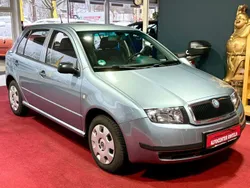 Grau Gebraucht 2003 Skoda Fabia Classic Limousine | 1.490 € (Fairer Preis)