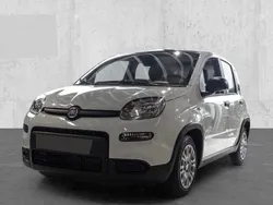 Weiss Neu 2025 Fiat Panda Kleinwagen | 19.024 €