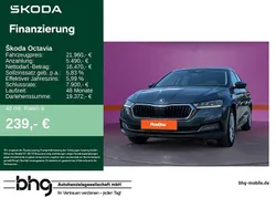 Grau Gebraucht 2022 Skoda Octavia Limousine | 21.960 € (Guter Preis)