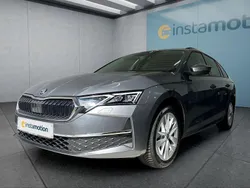 Grau Gebraucht 2024 Skoda Octavia Kombi | 30.699 € (Fairer Preis)