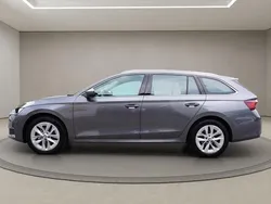Grau grau Gebraucht 2024 Skoda Octavia Selection Kombi | 34.613 € (Fairer Preis)