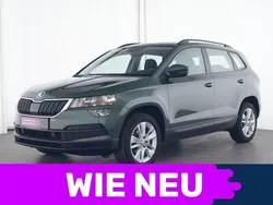 Grün Gebraucht 2021 Skoda Karoq Ambition SUV | 21.436 € (Guter Preis)