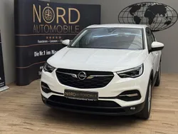 Jade weiß Gebraucht 2021 Opel Grandland X Business SUV | 16.849 € (Fairer Preis)