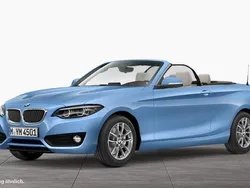 Blau Gebraucht 2018 BMW 220 Sport Line Cabrio | 22.290 € (Fairer Preis)