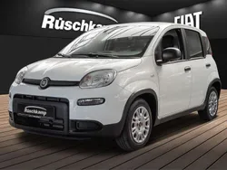 Weiss) (weiss Gebraucht 2023 Fiat Panda Kleinwagen | 12.480 € (Fairer Preis)