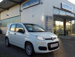 Weiß Gebraucht 2020 Fiat Panda Easy Kleinwagen | 8.400 € (Fairer Preis)