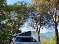 Weiß Gebraucht 2018 Mercedes V220 Marco Polo Van / Kleinbus | 43.500 € (Etwas zu teuer)