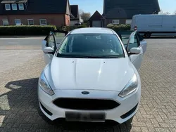 Weiß Gebraucht 2015 Ford Focus Kombi | 4.800 € (Fairer Preis)