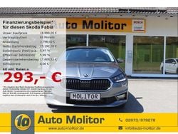 Grau Gebraucht 2024 Skoda Fabia Style Limousine | 18.990 € (Guter Preis)