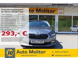 Grau Gebraucht 2024 Skoda Fabia Style Limousine | 18.990 € (Guter Preis)