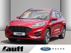 Rot Gebraucht 2024 Ford Kuga ST-Line SUV | 34.990 €