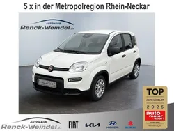 Weiss Gebraucht 2024 Fiat Panda Cross Kleinwagen | 15.489 € (Teuer)